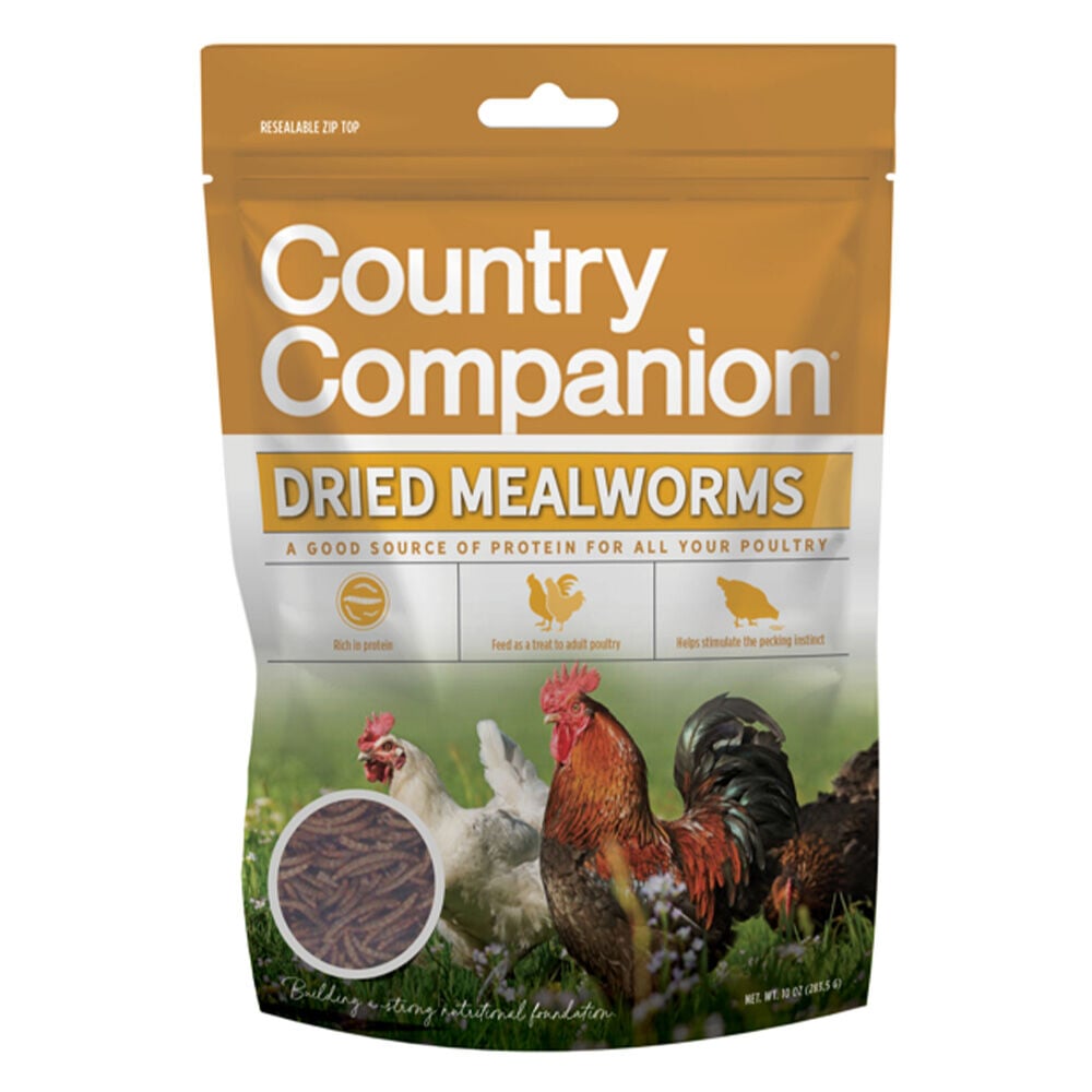 image of Poultry Treats- Mealworms, 5 lb