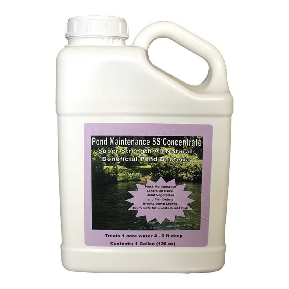 image of Pond Maintenance SS Concentrate, 1 gallon