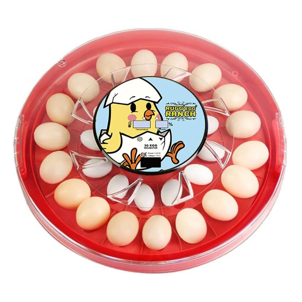 image of 30 Egg Incubator, Red
