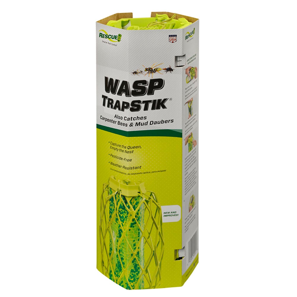 image of TrapStik Wasp Trap with Bird Guard
