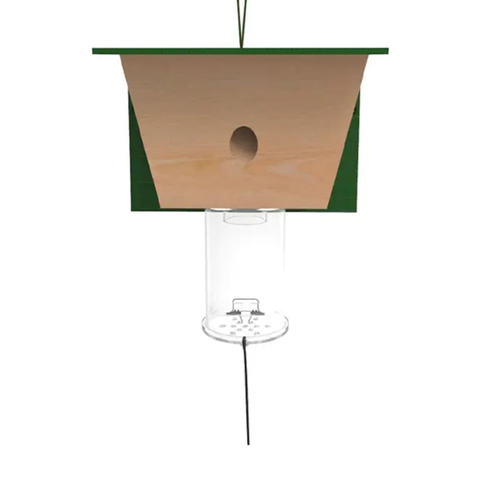 image of Carpenter Bee Trap