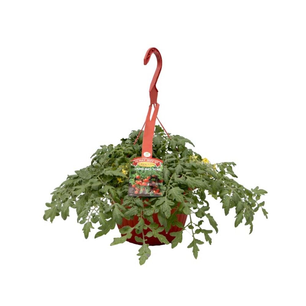 image of Tumbling Tom Tomato Basket