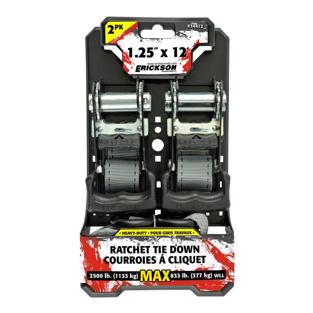 image of Ratchet Strap, 12 ft