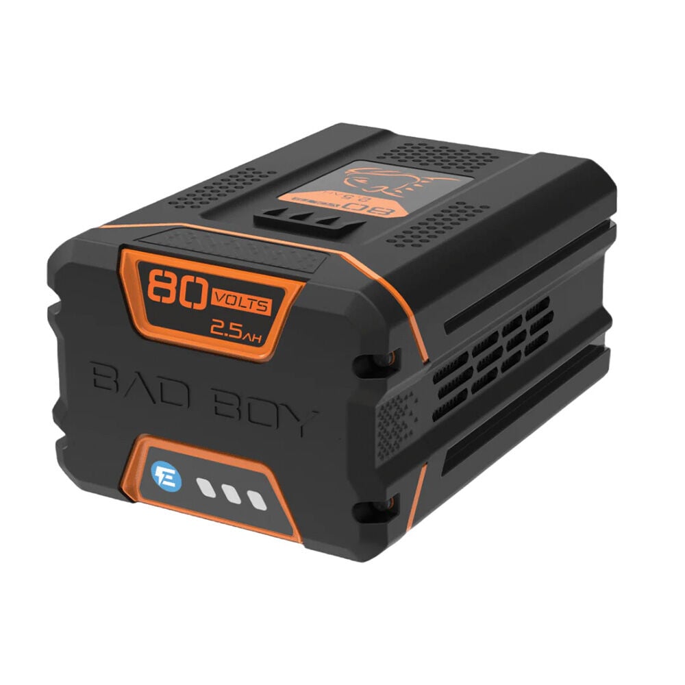 image of 80V 2.5 AH Battery