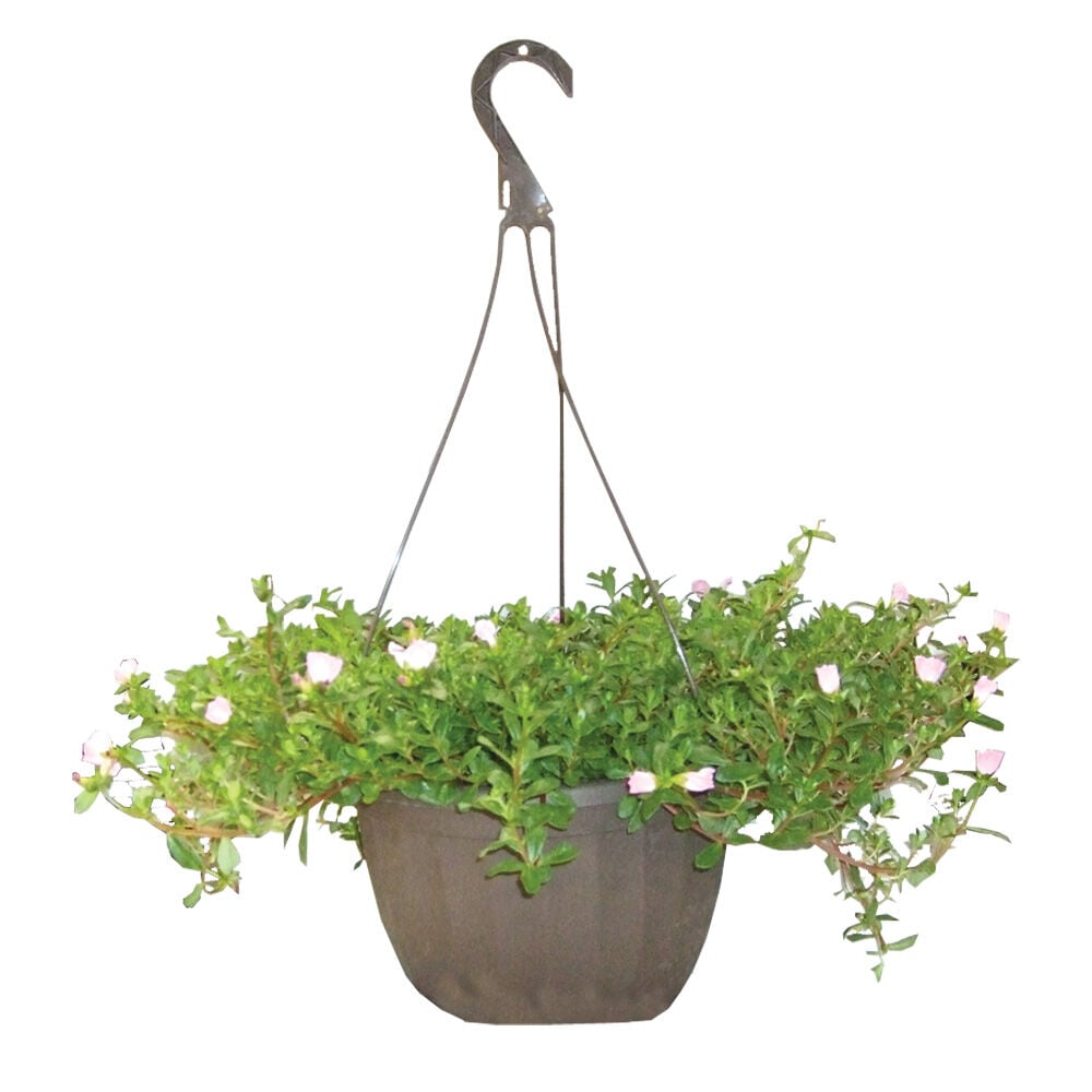 image of 11-inch Hanging Plant Basket
