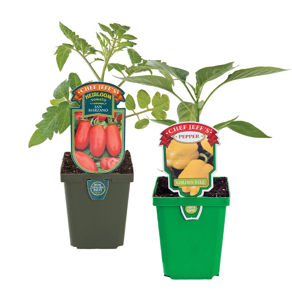 image of 4 in Assorted Chef Jeff's Vegetables