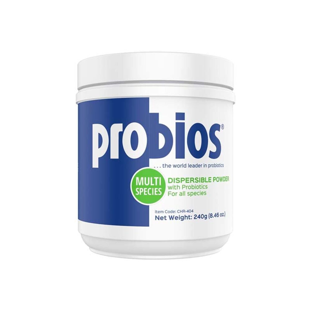 image of Vet Plus Dispersible Digestive Powder, 240gm