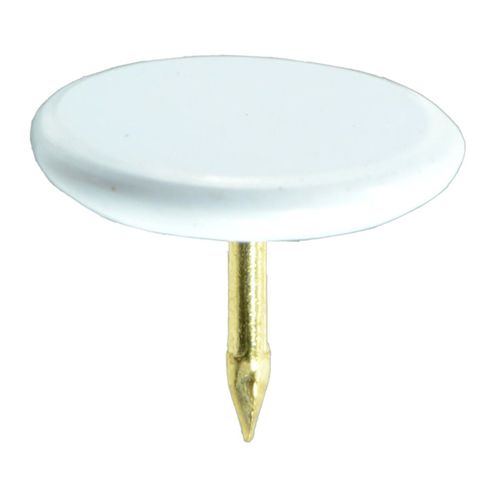 image of White Thumb Tack - 21973