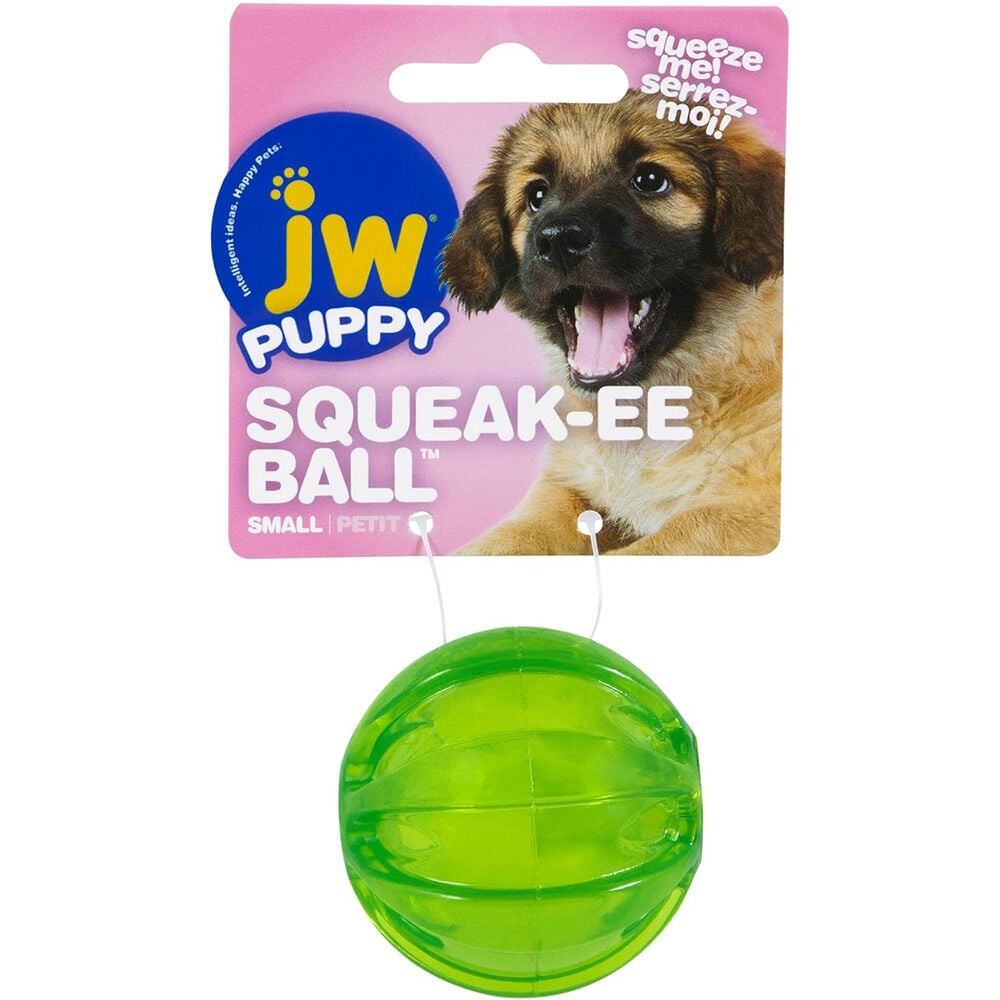 image of PlayPlace Squeaky Ball- Small