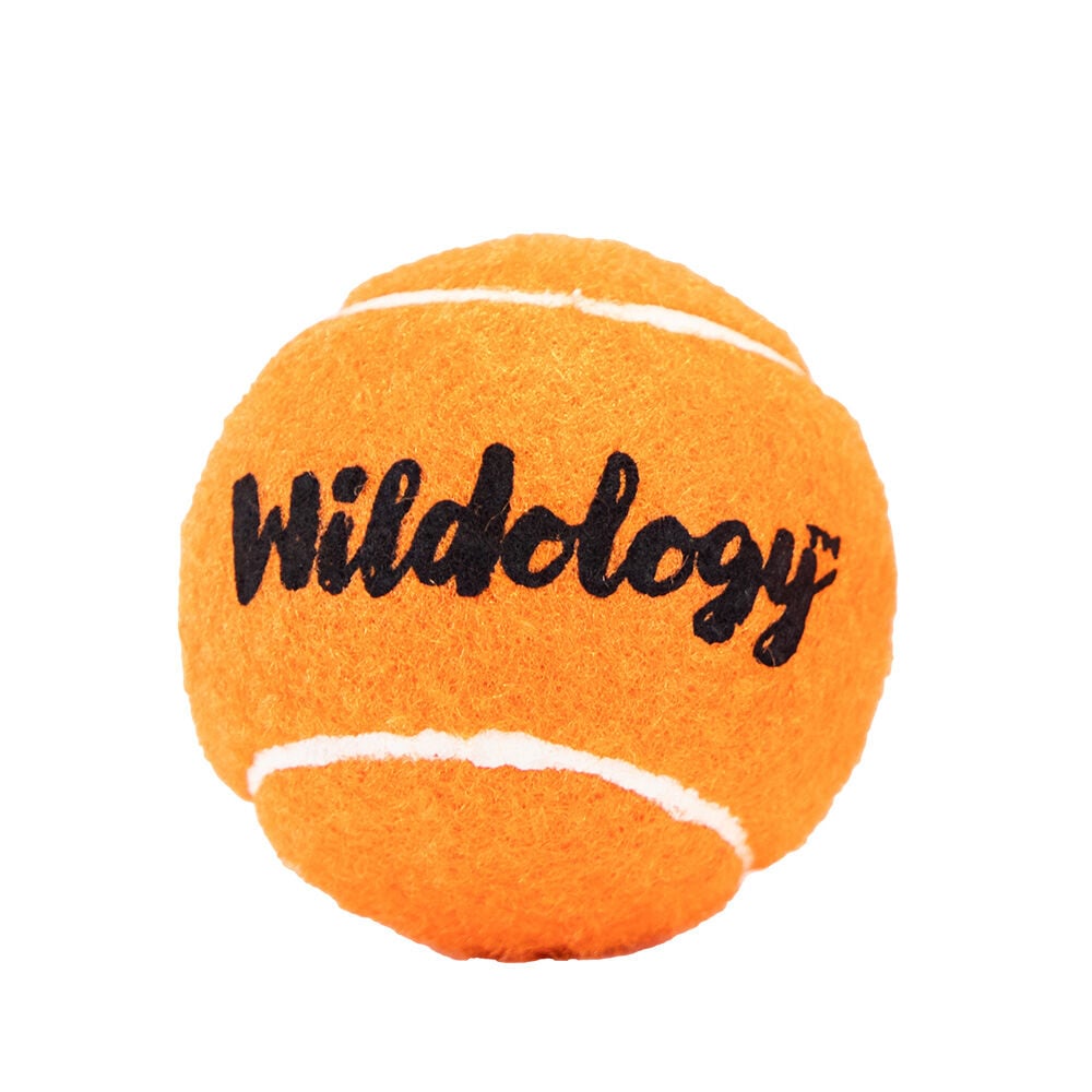 image of Dog Toy- Tuff Ball, 4 in