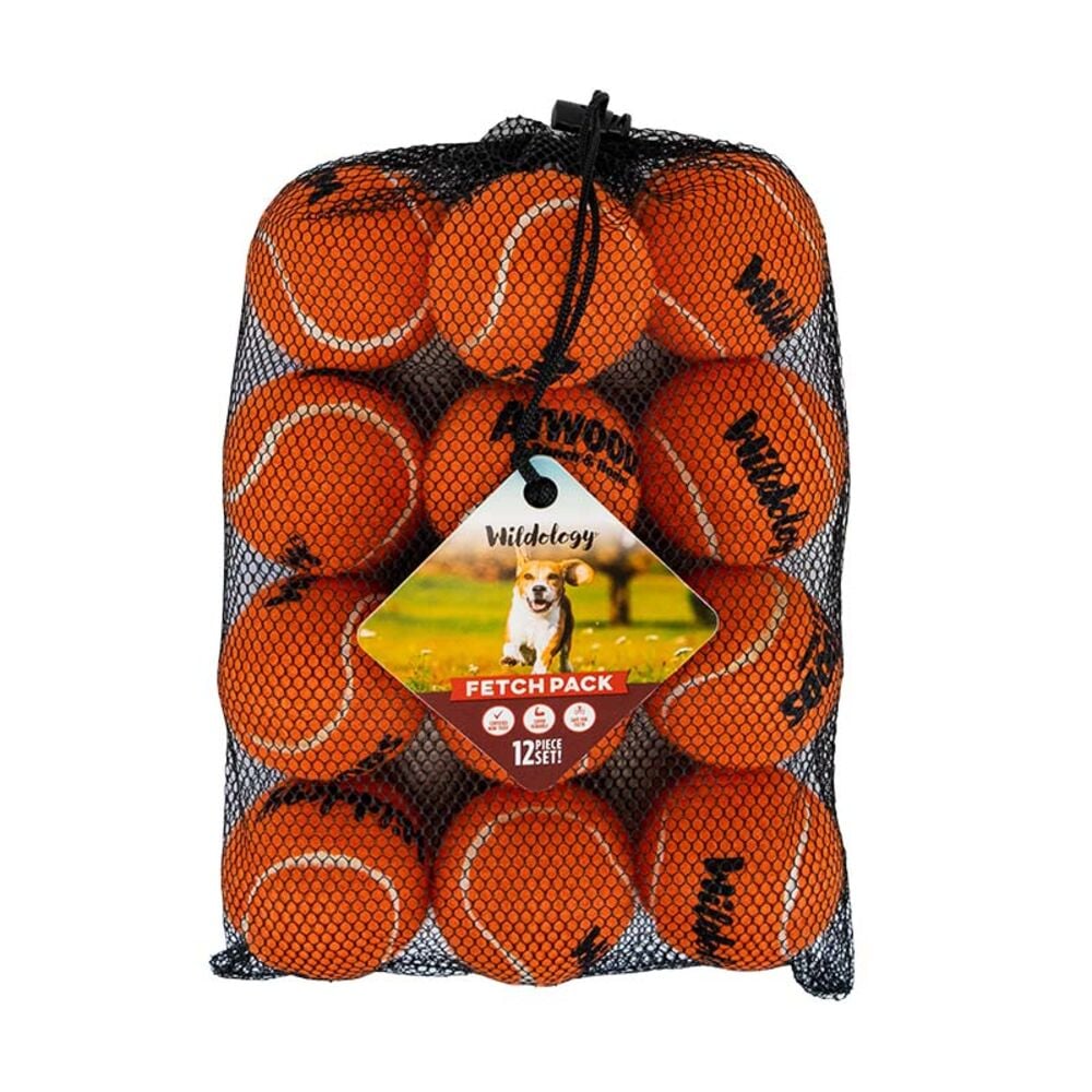 image of Fetch Tennis Ball- 12 pack