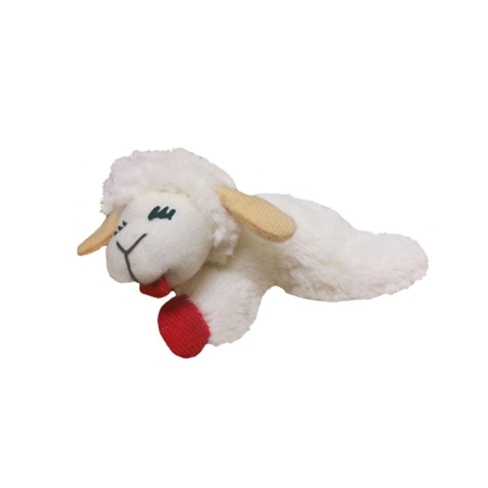 image of Lamb Chop Cat Toy, 4-Inch