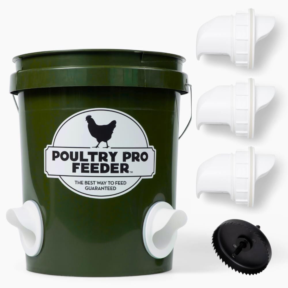 image of DIY Chicken Feeder