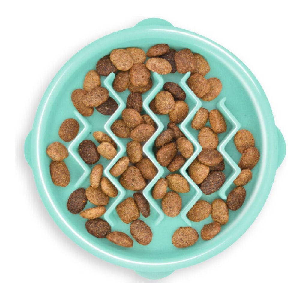 image of Slow Feeder Dog Dish- Non-Skid, Mint, .75 c