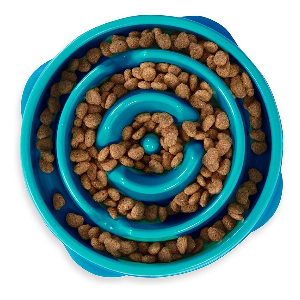 image of Slow Feeder Dog Dish- Non-Skid, Teal, 2 c