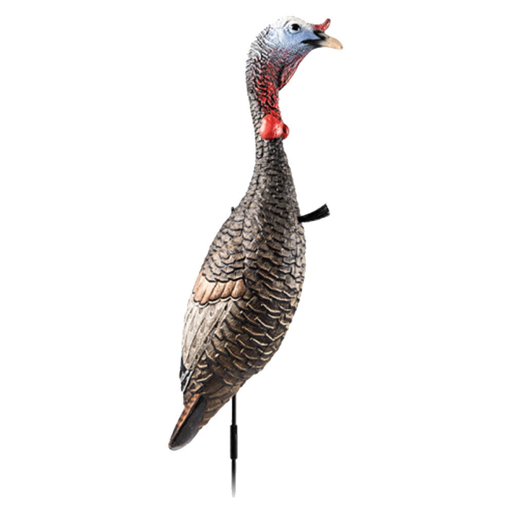 image of Funky Chicken Gen. 2