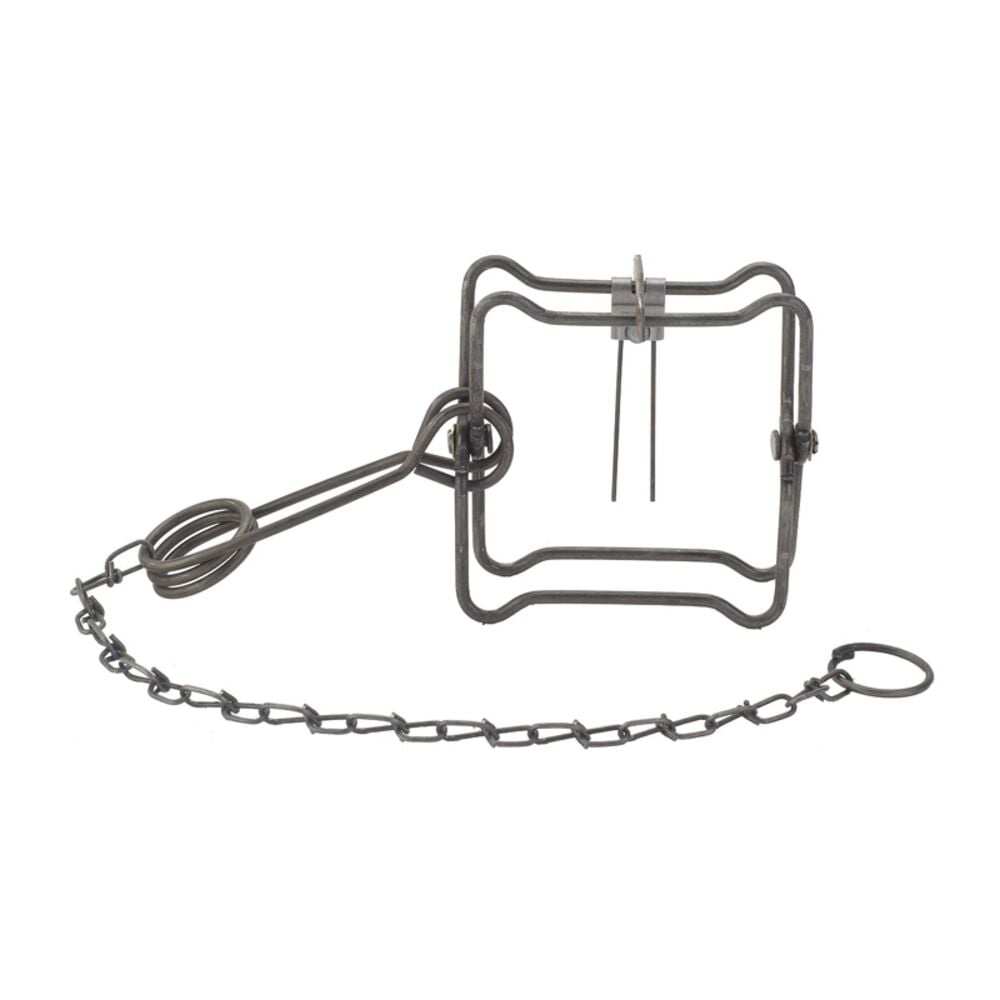 image of Body Trap, 110