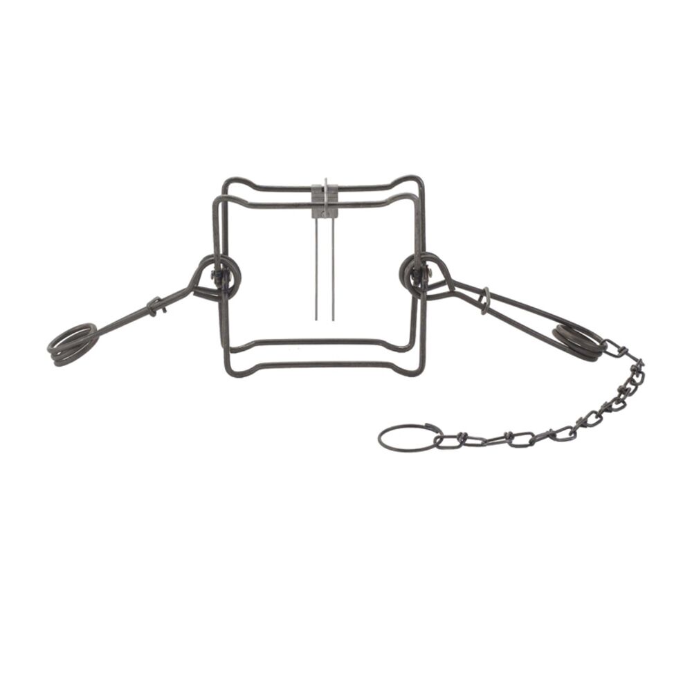 image of Body Trap, 220
