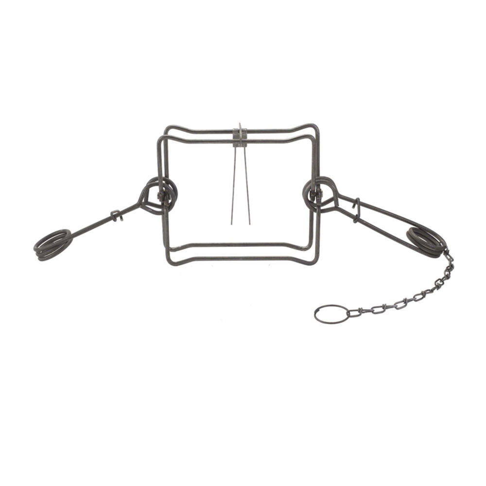 image of Body Trap, 330