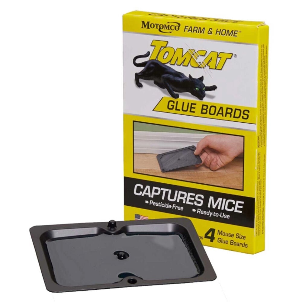 image of Mouse Glue Board, 4 pk