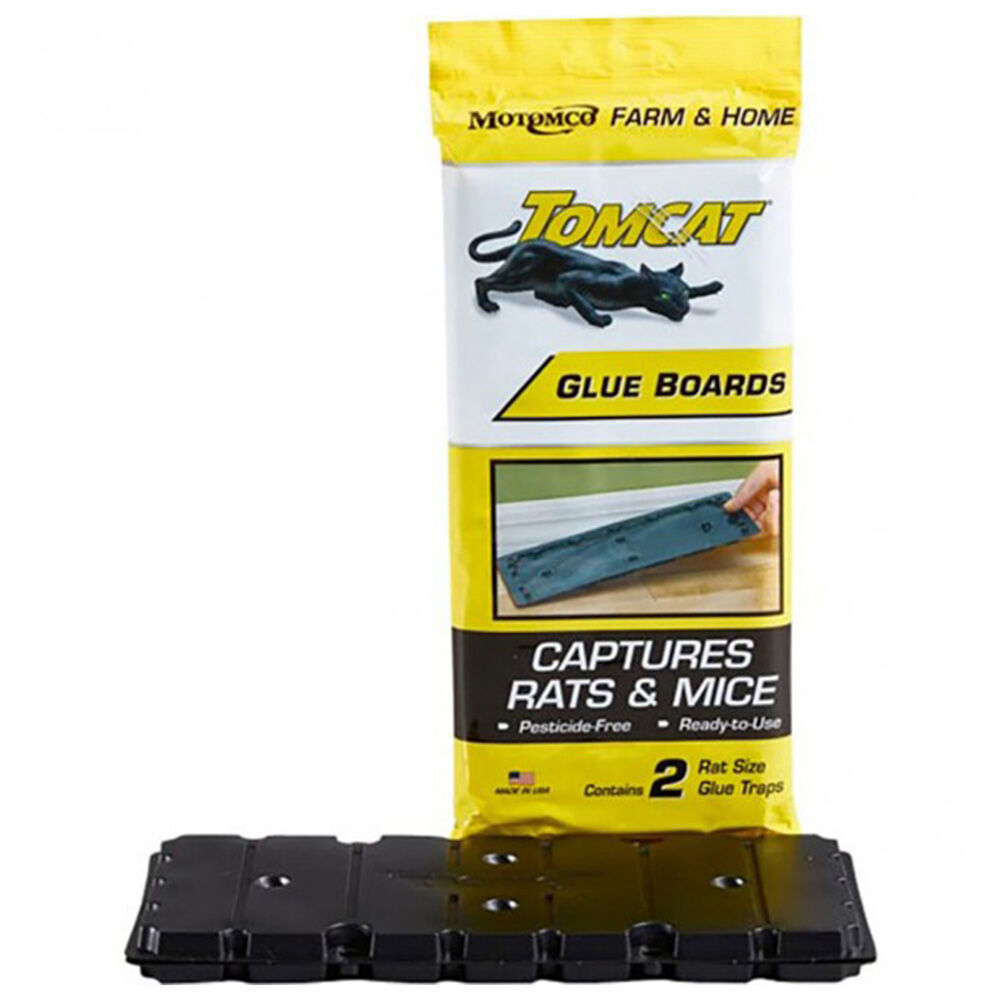 image of Rat Glue Board, 2 pk