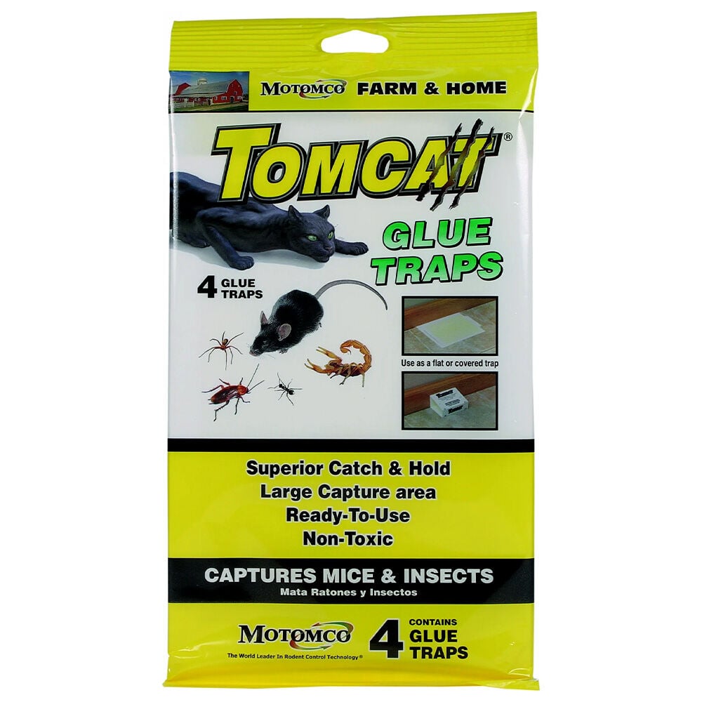 image of Mouse Glue Trap, 4 pk