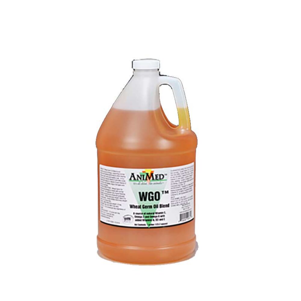 image of Wheat Germ Oil Blend, 1 gallon