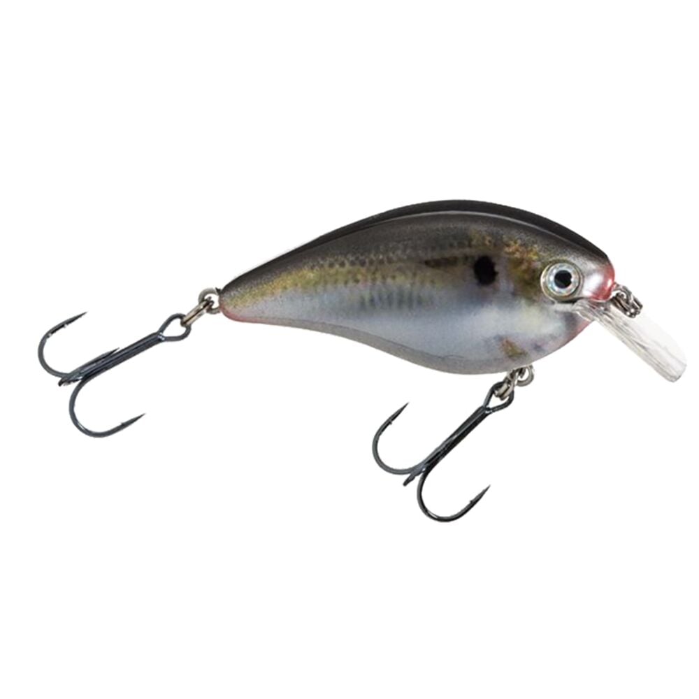 image of KVD Square Bill Silent Crankbait, 2 1/2 in, 7/16 oz, Natural Shad