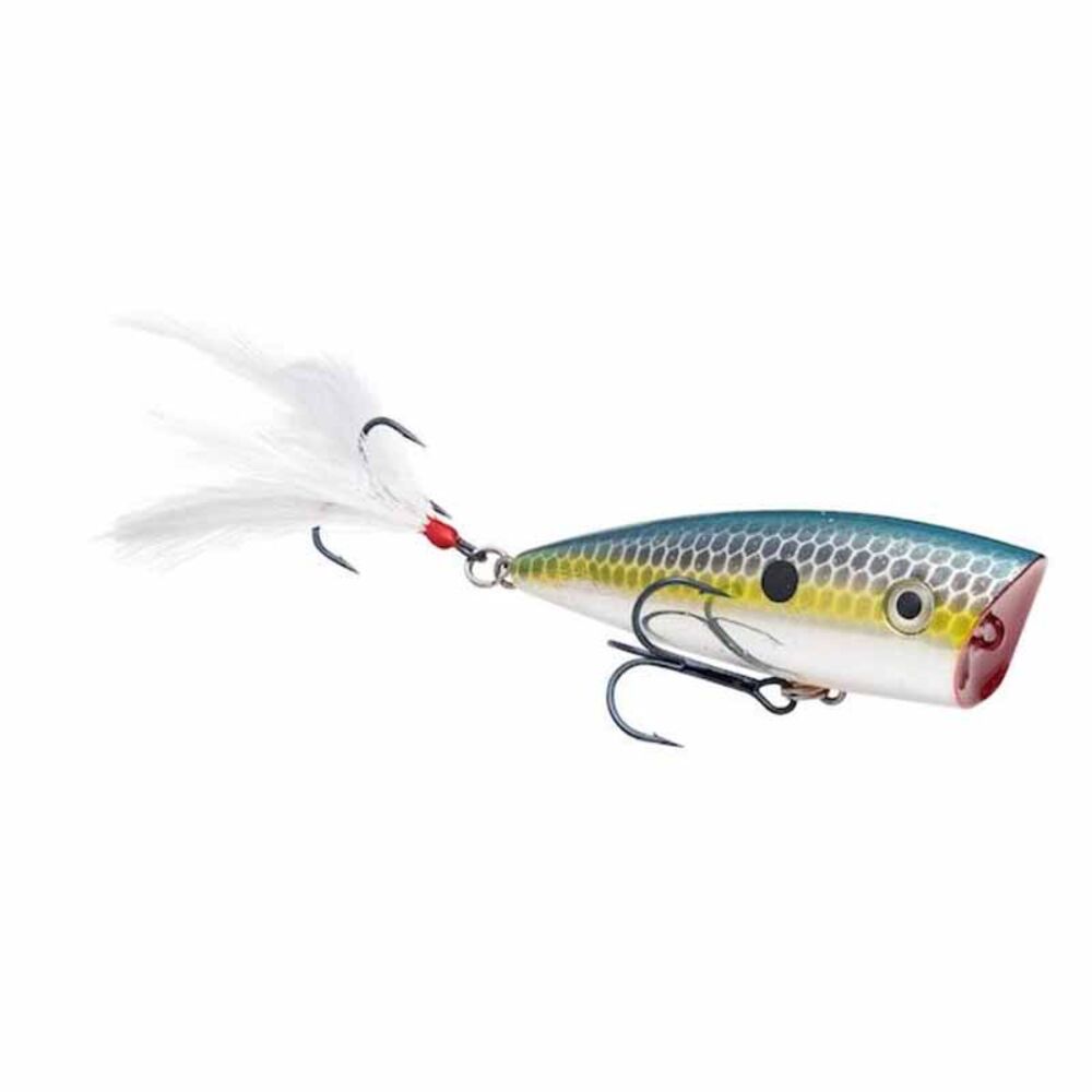 image of KVD Splash Jr Topwater, Chrome Sexy Shad