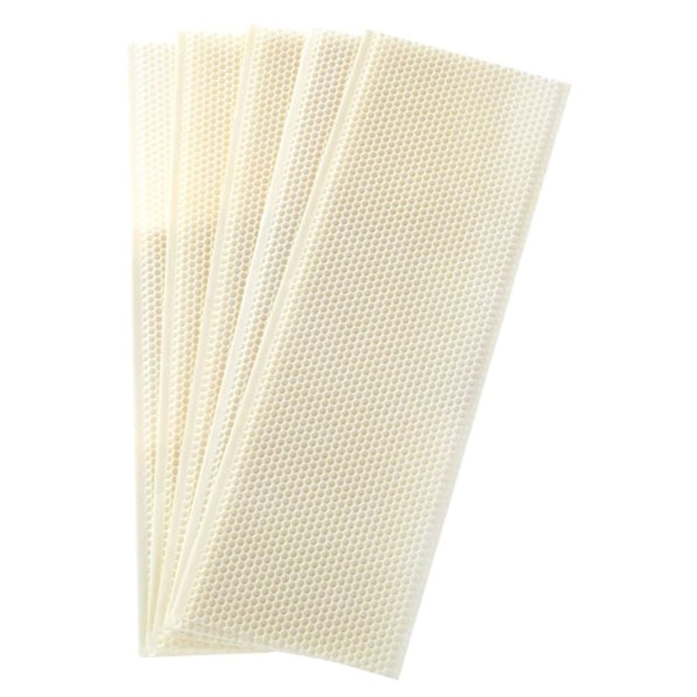 image of Medium Wax-Coated Plastic Foundation, 5 pack