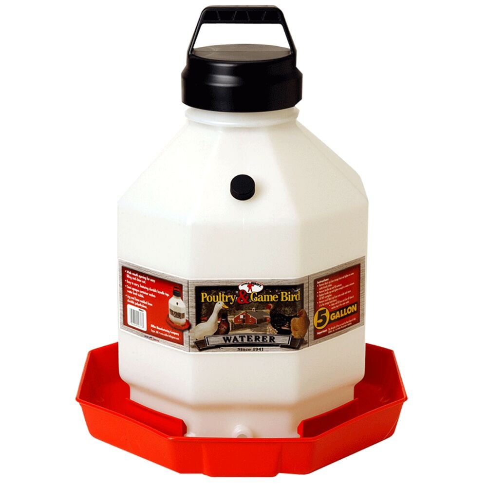 image of Plastic Poultry Waterer- 5 gal