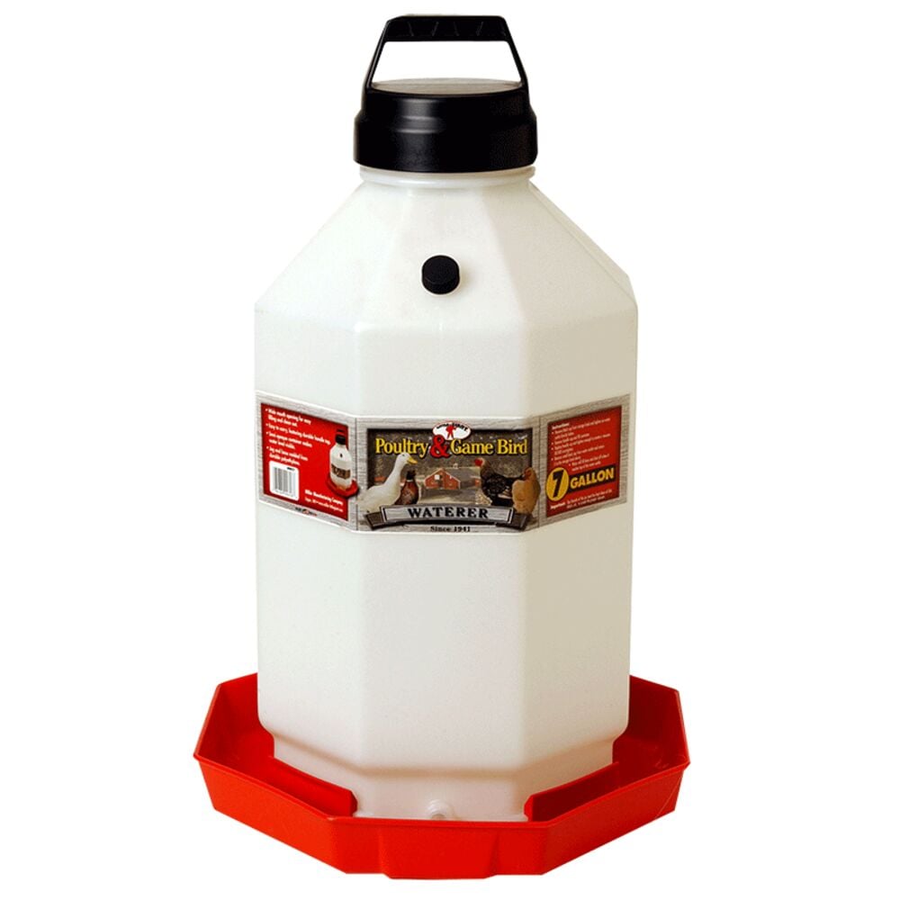 image of Plastic Poultry Waterer, 7 gal