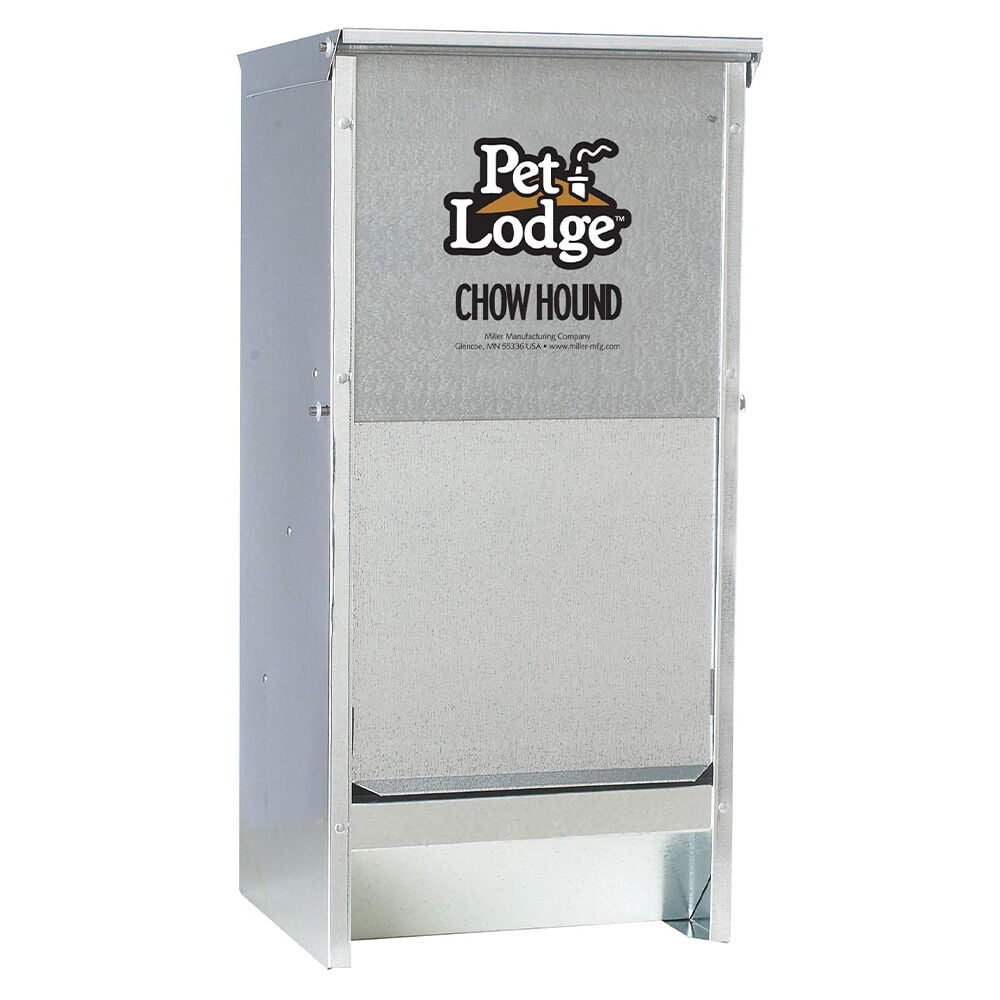 image of Automatic Pet Feeder- Galvanized, 12 lb