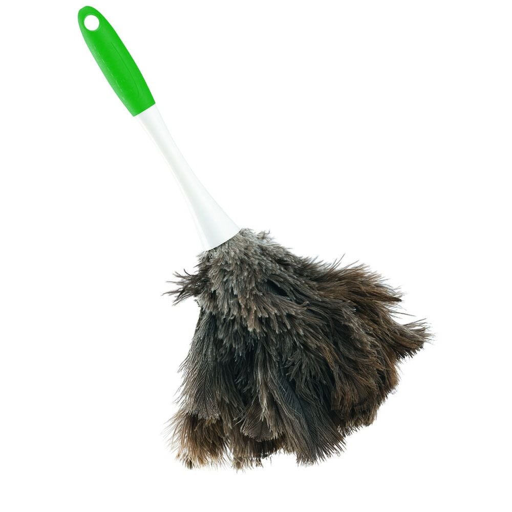 image of Big Feather Duster