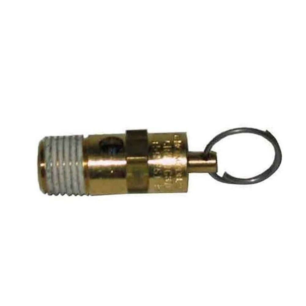 image of 175 PSI Pressure Relief Valve