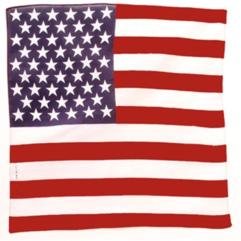 image of American Flag Bandana