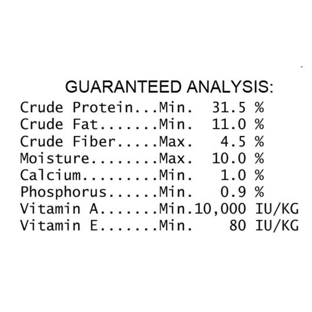 40 lb cat food 2025