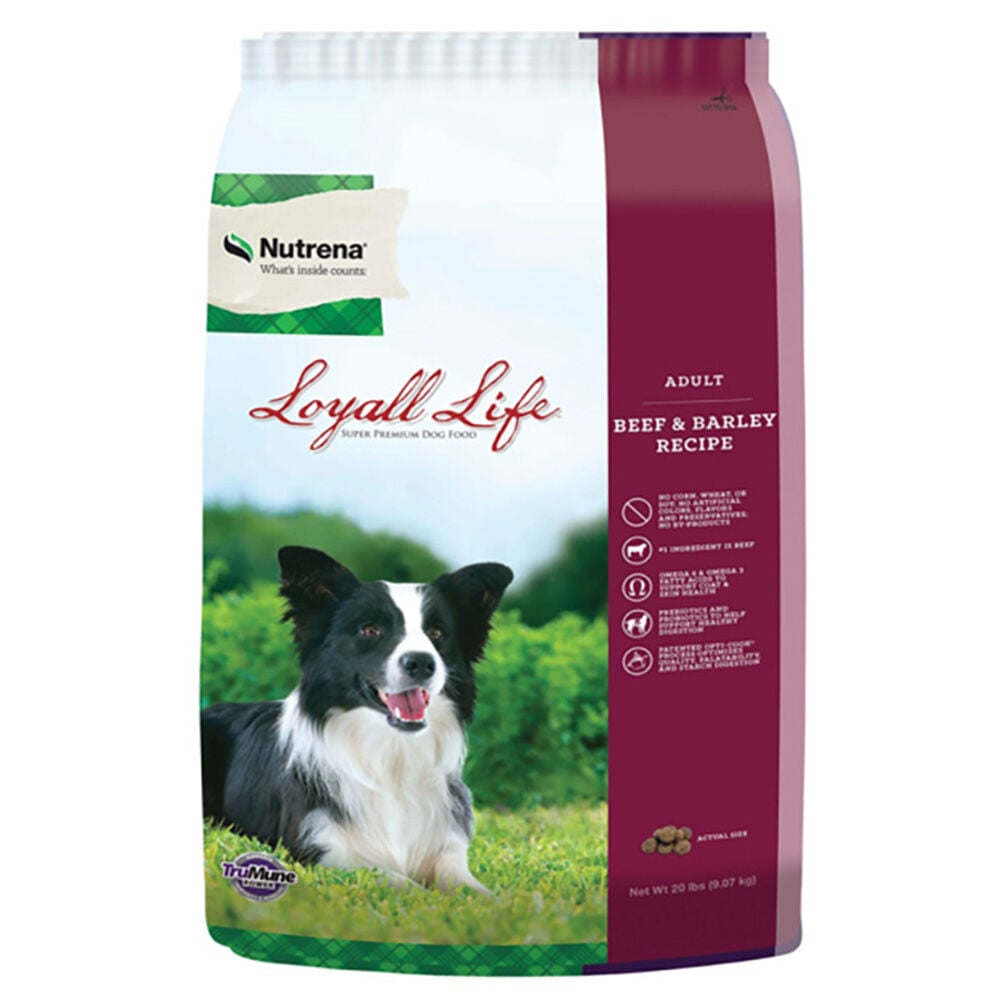 image of Loyall Life Adult, Beef and Barley Recipe Dog Food