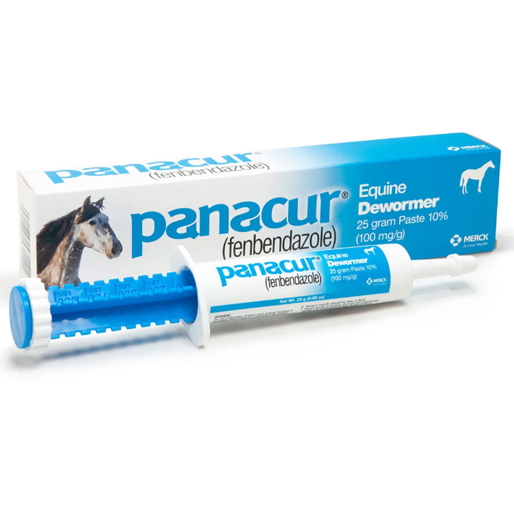 image of Panacur Equine Dewormer Paste, 25g
