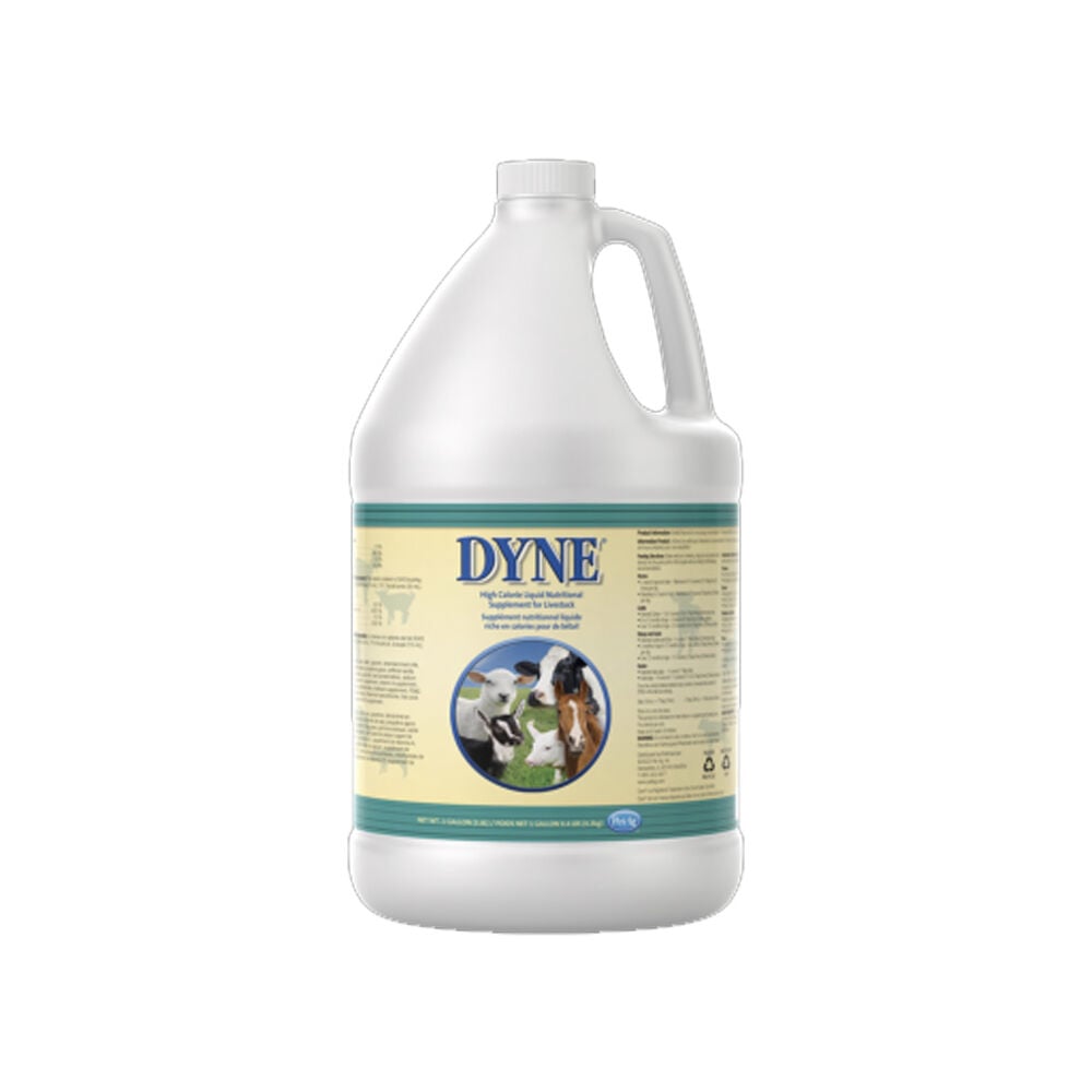 image of High Calorie Liquid Nutritional Supplement for Livestock, 1 gal