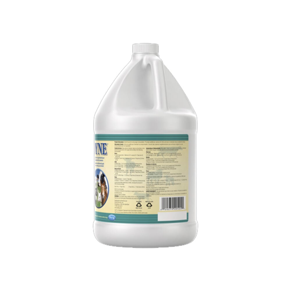 image of High Calorie Liquid Nutritional Supplement for Livestock, 1 gal