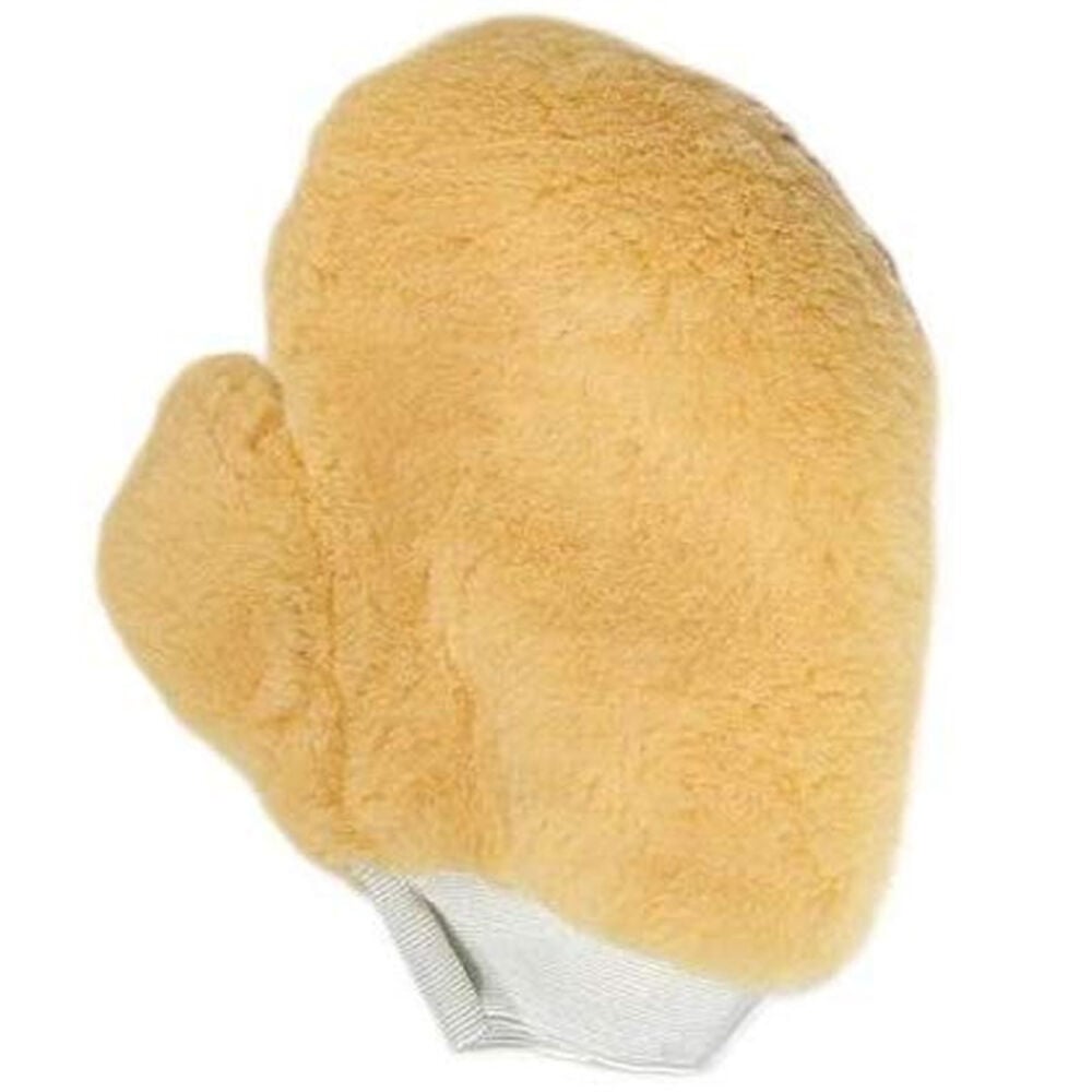 image of Painter's Mitt