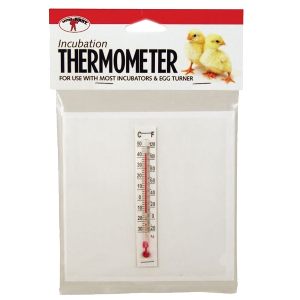 image of Incubator Thermometer Kit