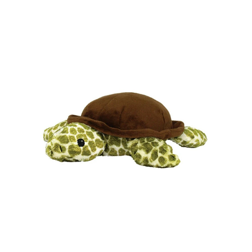 image of Turtle