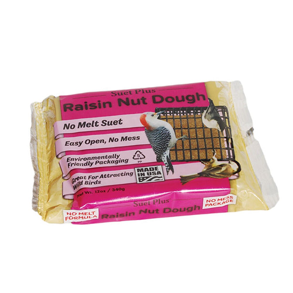 image of 12 oz Raisin Nut Suet Dough