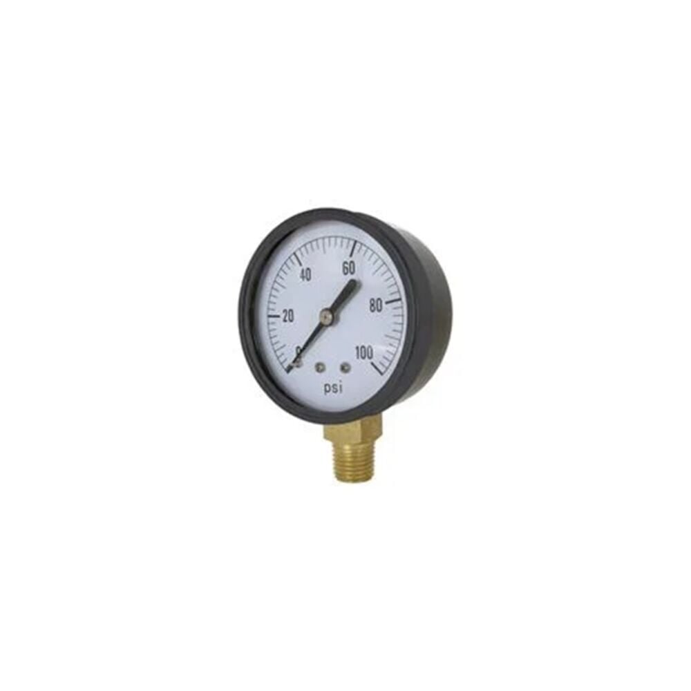 image of 2-in Bottom Mount ABS Case 200 PSI Dry Gauge