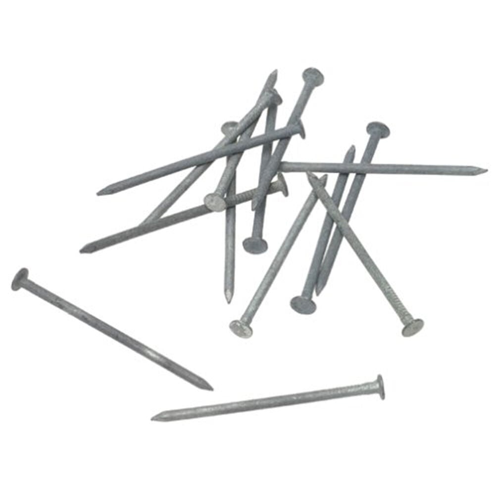 image of 10D, 3-Inch Galvanized Box Nail