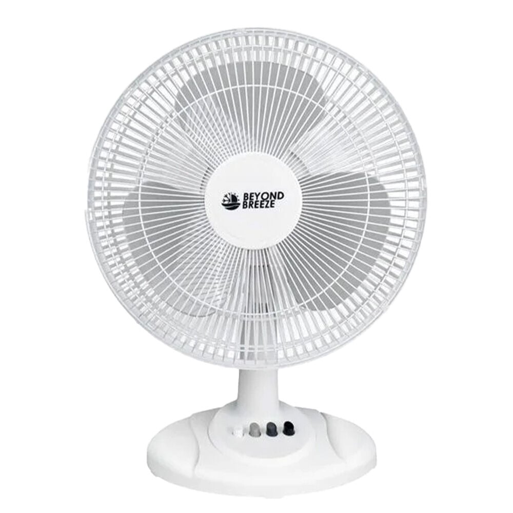 image of 12 in Oscillating Fan