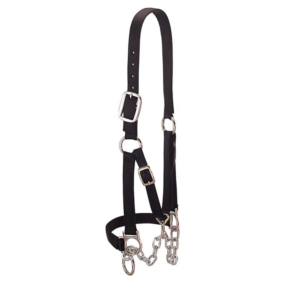 image of Heavy-Duty Restraint Halter- Black, Medium