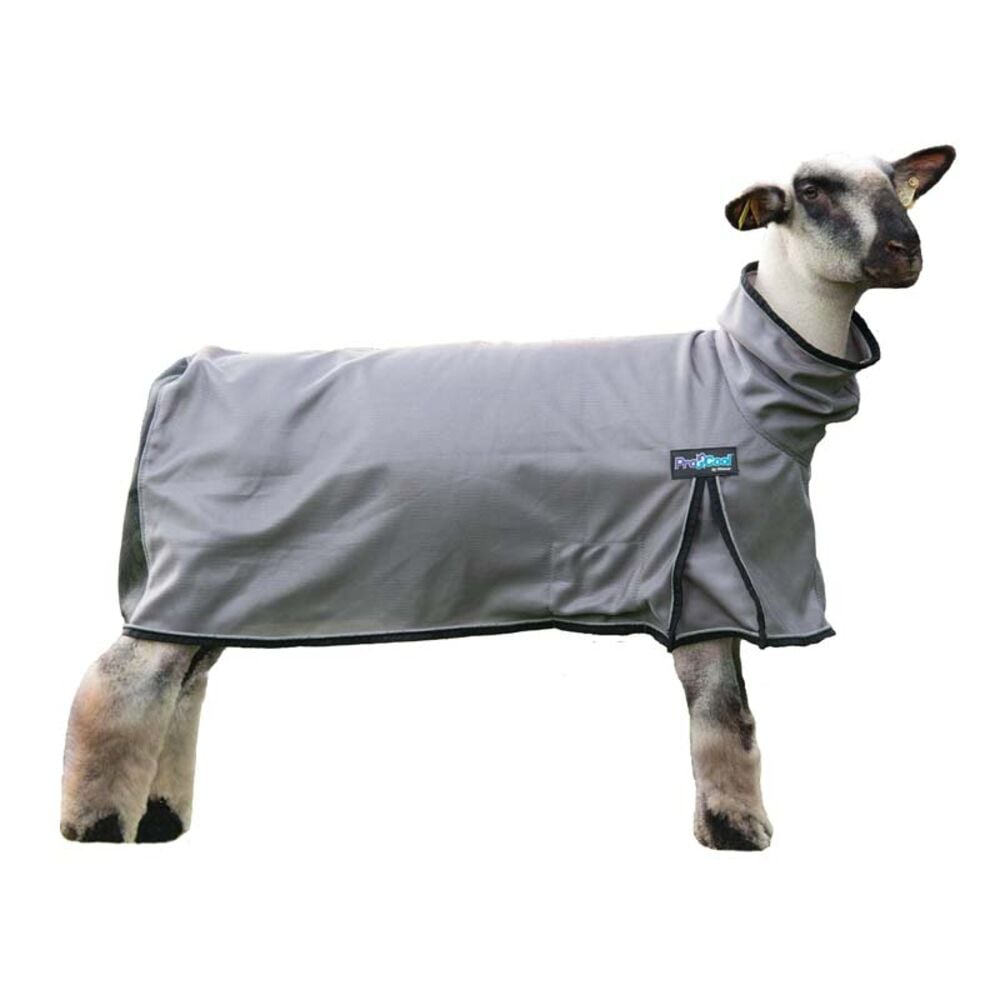 image of ProCool Sheep Blanket with Reflective Piping, Medium, Gray